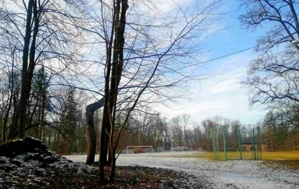 Встретились зима и весна. В парке в Высоком можно застать обе поры года (Брестская область)