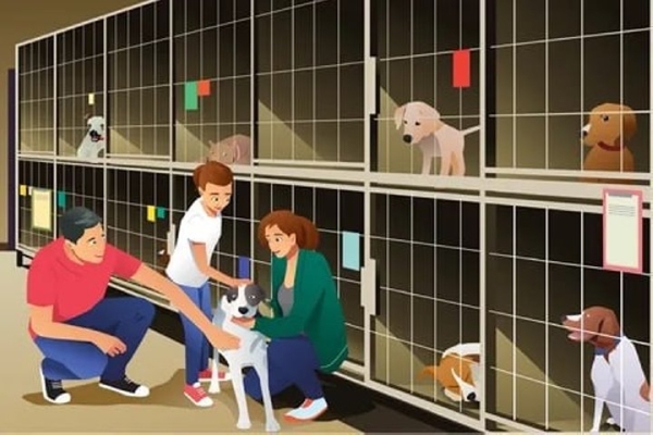 УТИБОЗЕМОЙ, какая лапочка! 23 марта отмечается день щенка