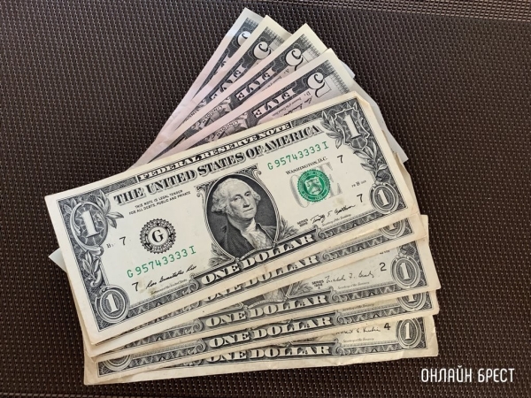 Гражданка Украины везла $78 тысяч через границу из Польши в Брест