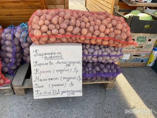 Читатель: Что почем на рынке за ЦУМом в Бресте
Читатель: Что почем на рынке за ЦУМом в Бресте