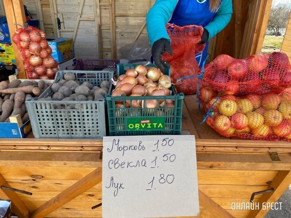 Читатель: Что почем на рынке за ЦУМом в Бресте
Читатель: Что почем на рынке за ЦУМом в Бресте