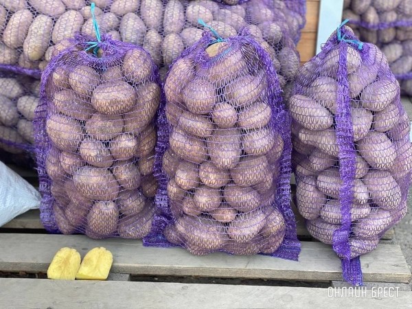 Читатель: Что почем на рынке за ЦУМом в Бресте
Читатель: Что почем на рынке за ЦУМом в Бресте