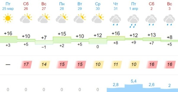 В Бресте и области на 26 марта объявлен оранжевый уровень из-за сильного ветра