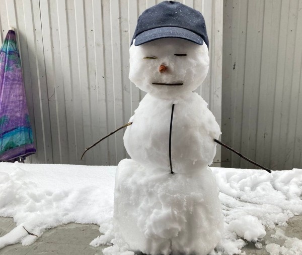 
                Читатель: Красивые снеговики от наших читателей
            