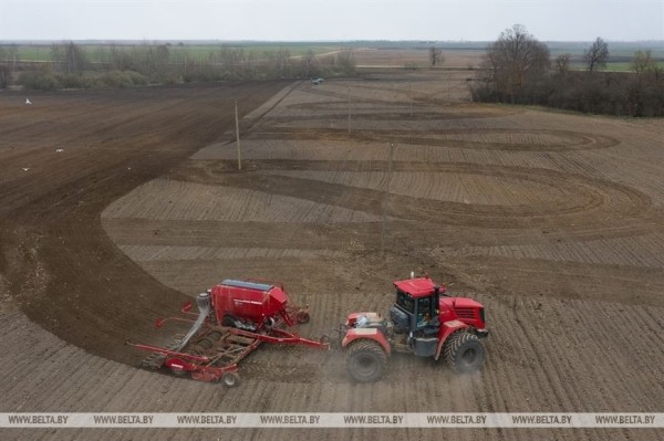 На Брестчине идёт посевная. Фотофакт