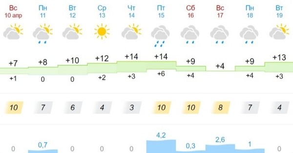 Какая погода ждет жителей Бреста на предстоящей неделе