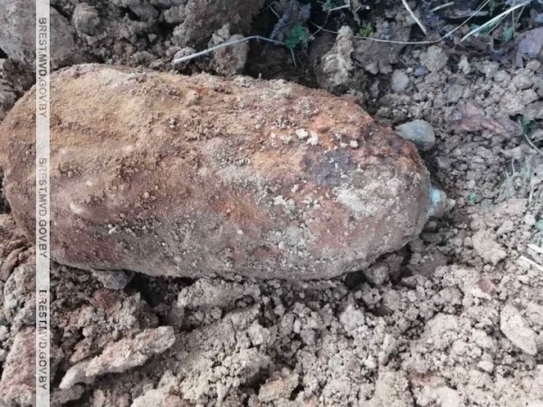 Житель Брестской области нашел в огороде снаряд времен ВОВ