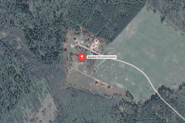 Земельные участки в самом сердце Беловежской пущи выставили на аукцион