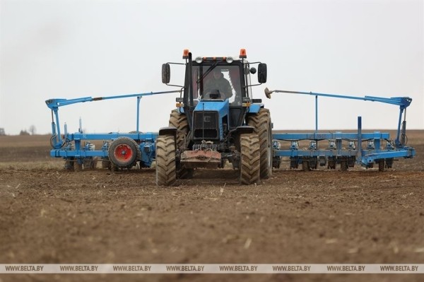 На Брестчине идёт посевная. Фотофакт
