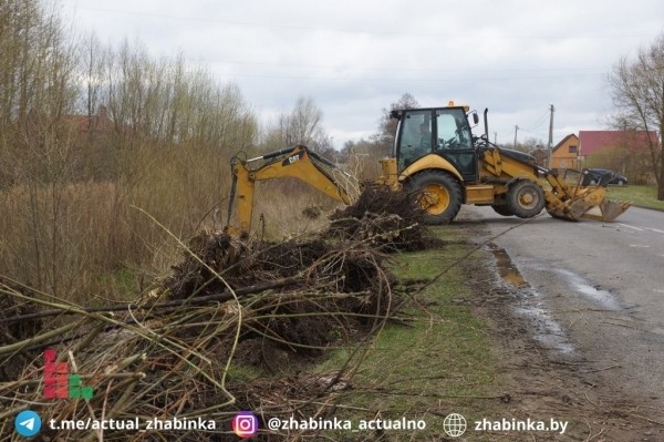 Жабинка провела уникальную экологическую акцию
