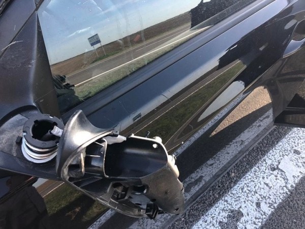 Названы трассы в Беларуси, где чаще всего случаются наезды на диких животных