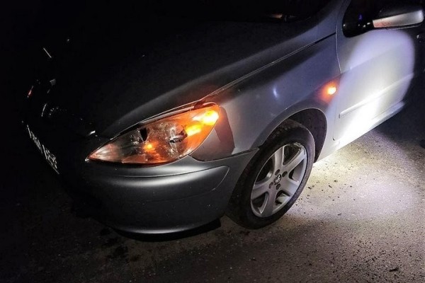 Cпасая от гибели лося, водитель Peugeot перевернулся в кювете. Видео