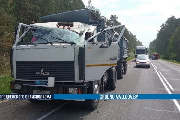 Сбитый лось приземлился на крышу ехавшего МАЗа. Погиб водитель легковушки Сбитый лось приземлился на крышу ехавшего МАЗа. Погиб водитель легковушки