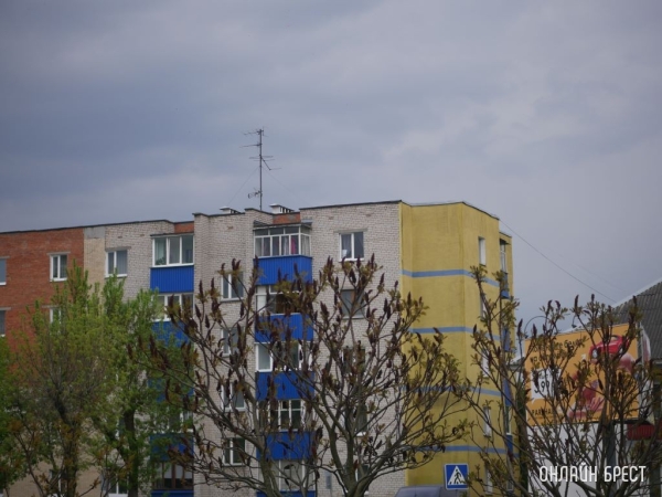 Аренда жилплощади для кота - плюс $30, запрет на мужчин и детей, подсчет воды и места в шкафу: белорусы рассказывают о необычных требованиях хозяев квартир, которые они снимали Аренда жилплощади для кота - плюс $30, запрет на мужчин и детей, подсчет воды и места в шкафу: белорусы рассказывают о необычных требованиях хозяев квартир, которые они снимали