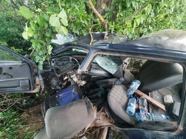 20-летний бесправник врезался в дерево в Кобринском районе