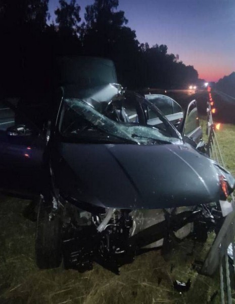 Лось спровоцировал смертельное ДТП на трассе М1 Брест – Минск – граница РФ