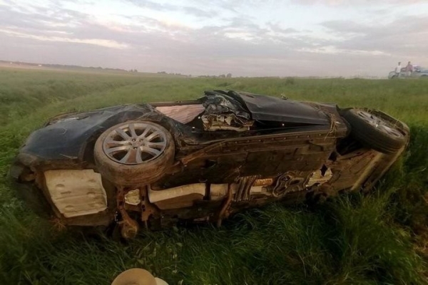 На трассу М1 выбежала косуля. Водитель попытался объехать ее, но вылетел в кювет