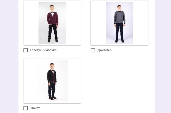 Жакет, юбка, бабочка... Белорусов просят решить, какие элементы школьной формы необходимы