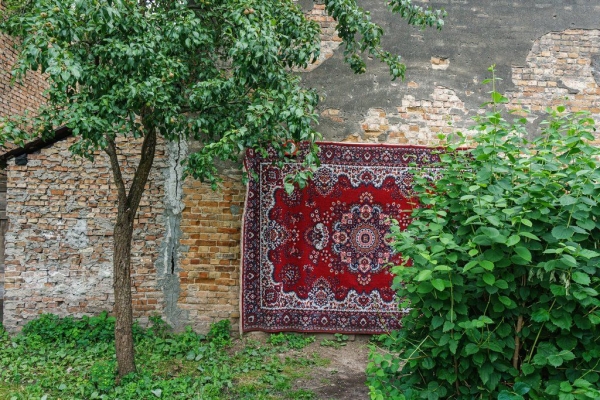 
                Фотографии сделаны в Бресте. Узнали место?
            