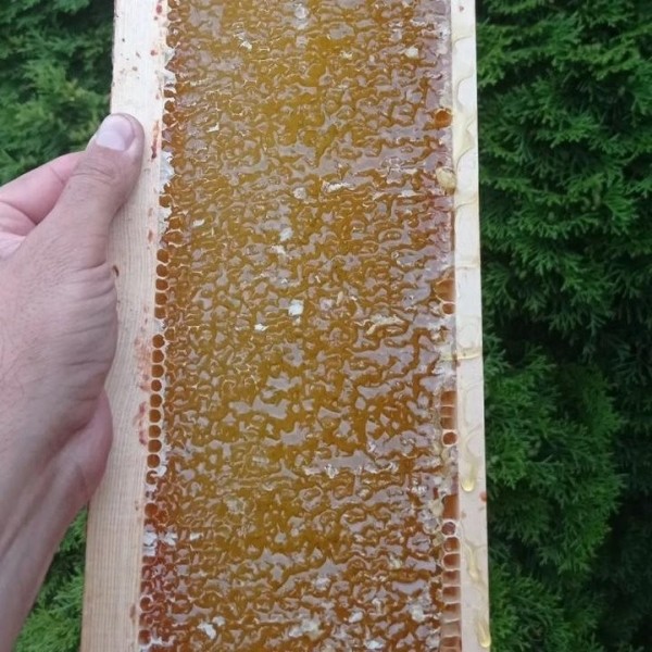 Увлечение родом из детства: как пчеловод из Кобрина продолжает дело родителей