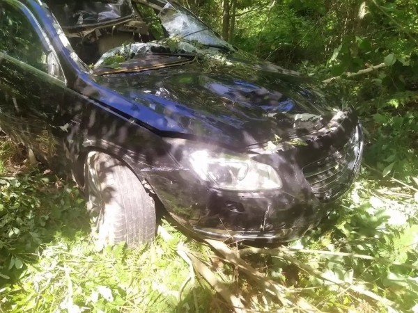 В Беларуси «Опель» сбил насмерть лося – пострадали водитель и пассажирка В Беларуси «Опель» сбил насмерть лося – пострадали водитель и пассажирка