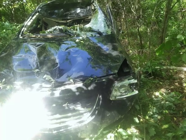 В Беларуси «Опель» сбил насмерть лося – пострадали водитель и пассажирка В Беларуси «Опель» сбил насмерть лося – пострадали водитель и пассажирка