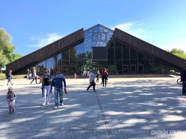 Спуститься в раскоп древнего Берестья сможет победитель игры в честь Дня археолога