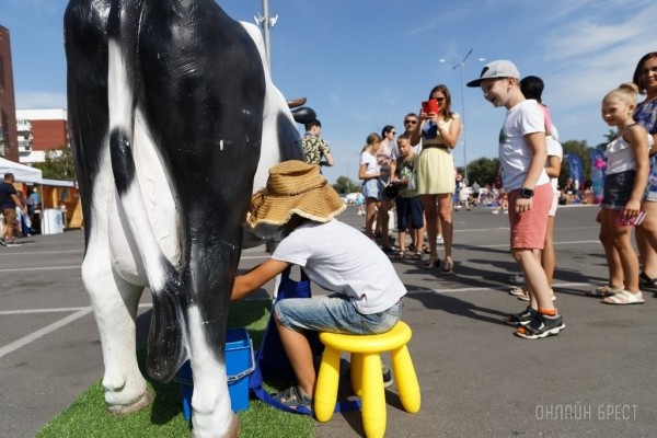Фестиваль профессий «Единорог» в Бресте. Фоторепортаж
