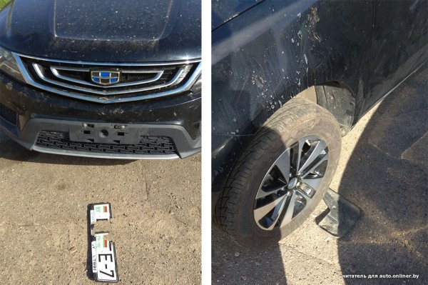 Собаки — это понятно. А посмотрите, что с машиной может сделать кот