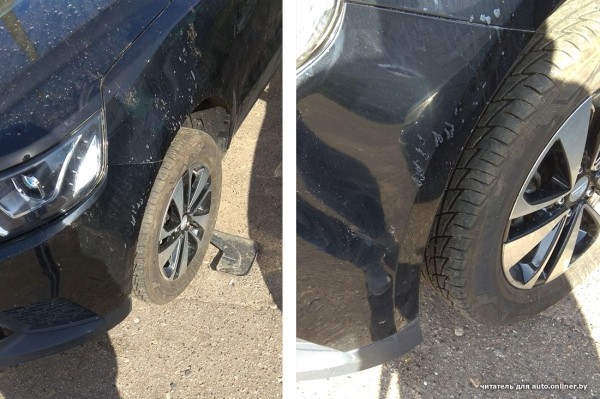 Собаки — это понятно. А посмотрите, что с машиной может сделать кот