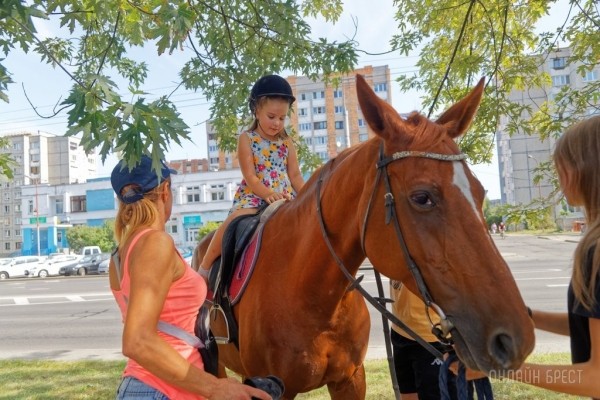 Фестиваль профессий «Единорог» в Бресте. Фоторепортаж