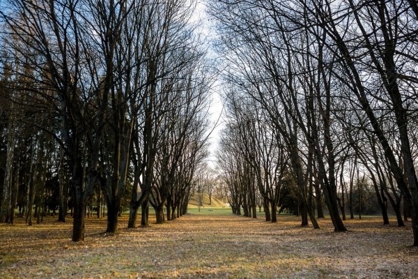 Почти исчезнувшая аллея в Брестской крепости. Куда она вела?