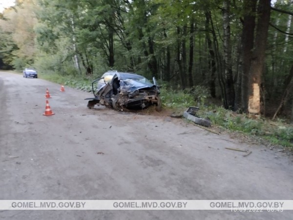В Беларуси произошло смертельное ДТП из-за выскочившего на дорогу животного. Водитель бросила пассажирку и пошла домой