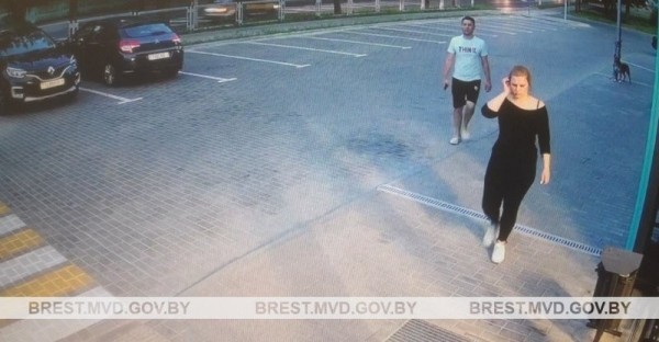 В Бресте ищут хозяйку собаки бойцовской породы