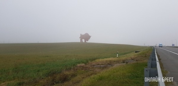 Гигантскую скульптуру зубра у трассы М1 отремонтируют