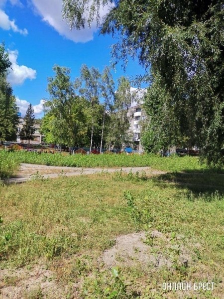 
                Читатель: Брест, ул. Янки Купалы, 12. Территория во дворе возле садика нуждается в покосе травы
            