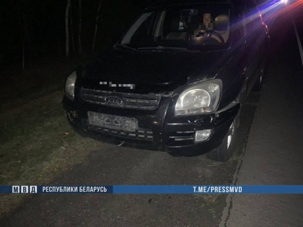 В Брестской области сбитого автомобилем KIA лося отбросило на Audi – двое погибших