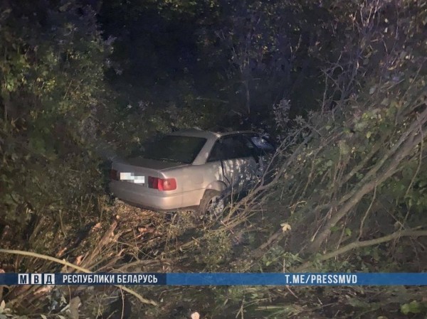 В Брестской области сбитого автомобилем KIA лося отбросило на Audi – двое погибших