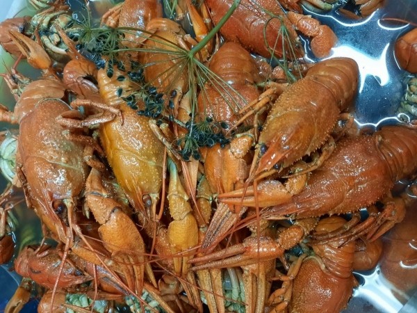 Загляни на осеннюю акцию в бары-магазины «Пиво Мастер» в Бресте