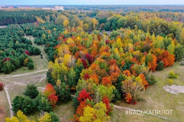 Краски осеннего Бреста
             
                Краски осеннего Бреста