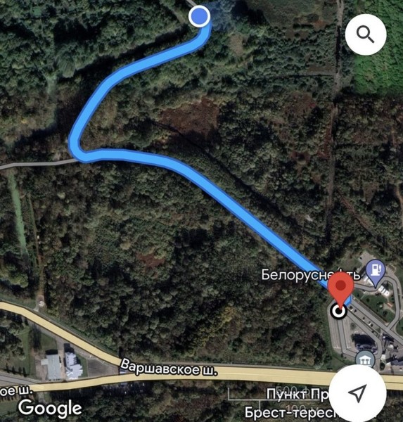 «Стоим до крепости». Новая система очереди на границе — ситуация в Бресте