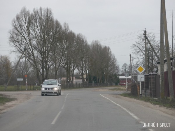 В Беларуси начнут выдавать международные водительские удостоверения