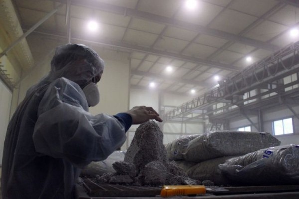 Комплекс по выращиванию грибниц в Кобринском районе замещает импорт и закрывает более половины потребностей внутреннего рынка