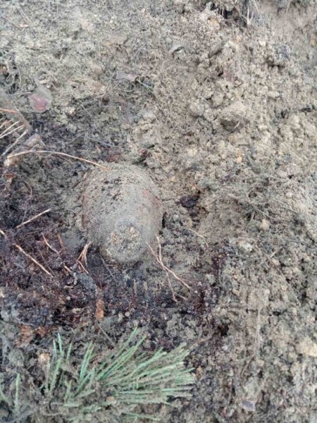 Под Пинском обнаружен артиллерийский снаряд времен Великой Отечественной войны