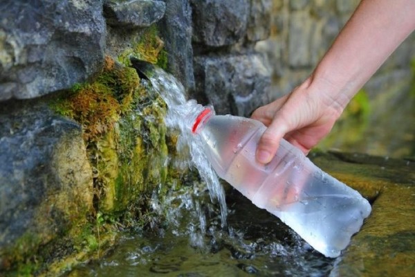 Из какого родника в Каменецком районе можно набрать воды?