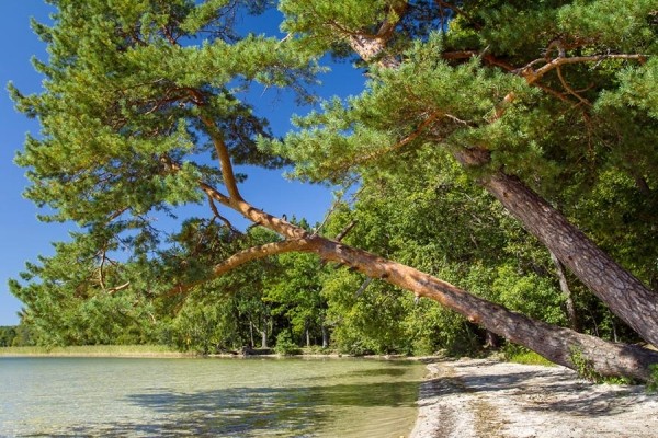 Выбрали 7 белорусских озер, где должен побывать каждый