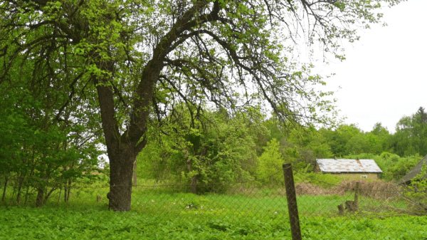 «Первое время спала в обнимку с кочергой». Белоруска сберегла столетний семейный дом — и не жалеет