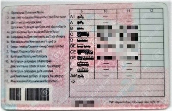 Белорус купил за границей водительские права за 150 евро – ездил три года, пока не попался Белорус купил за границей водительские права за 150 евро – ездил три года, пока не попался