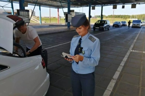 Таможня рассказала, сколько потянет растаможка, на примере газонокосилки