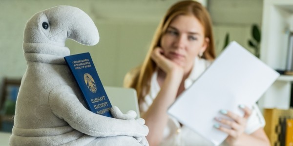 Как мы пытались получить шенген разными способами